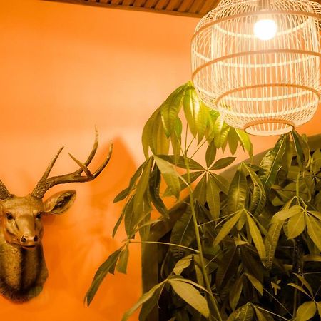Steed Hotel Далат Екстер'єр фото